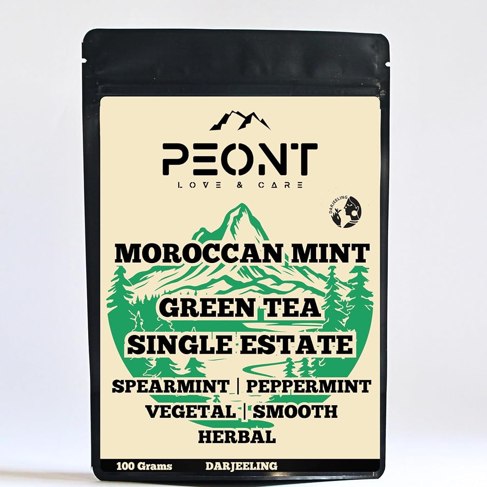 Moroccan Mint Green pouch
