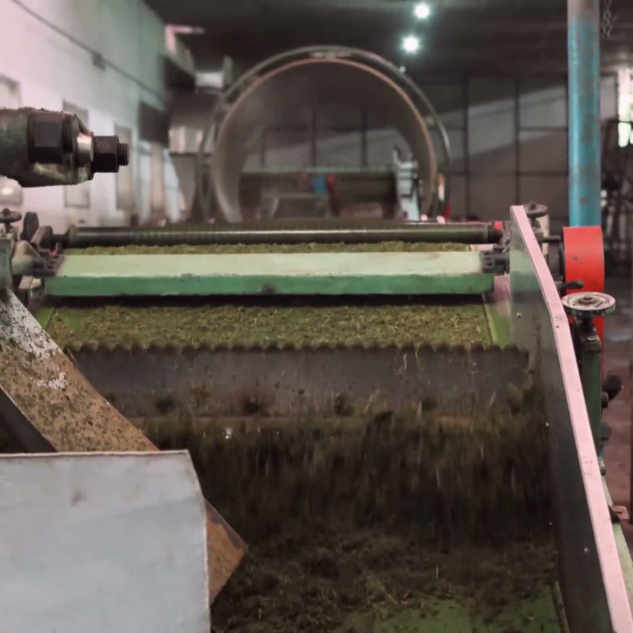 Tea leaves being processed in the Peont store’s factory film