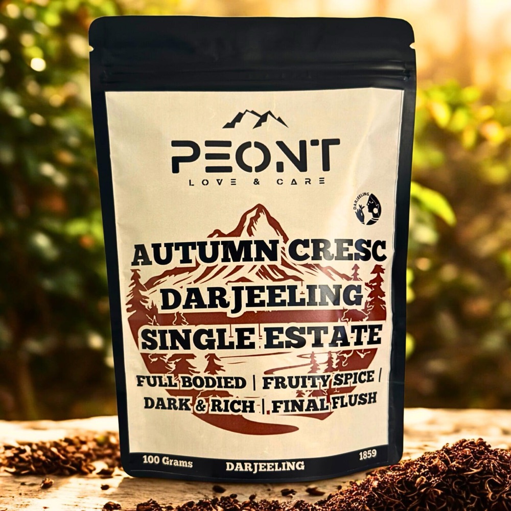 Autumn Crescendo pouch