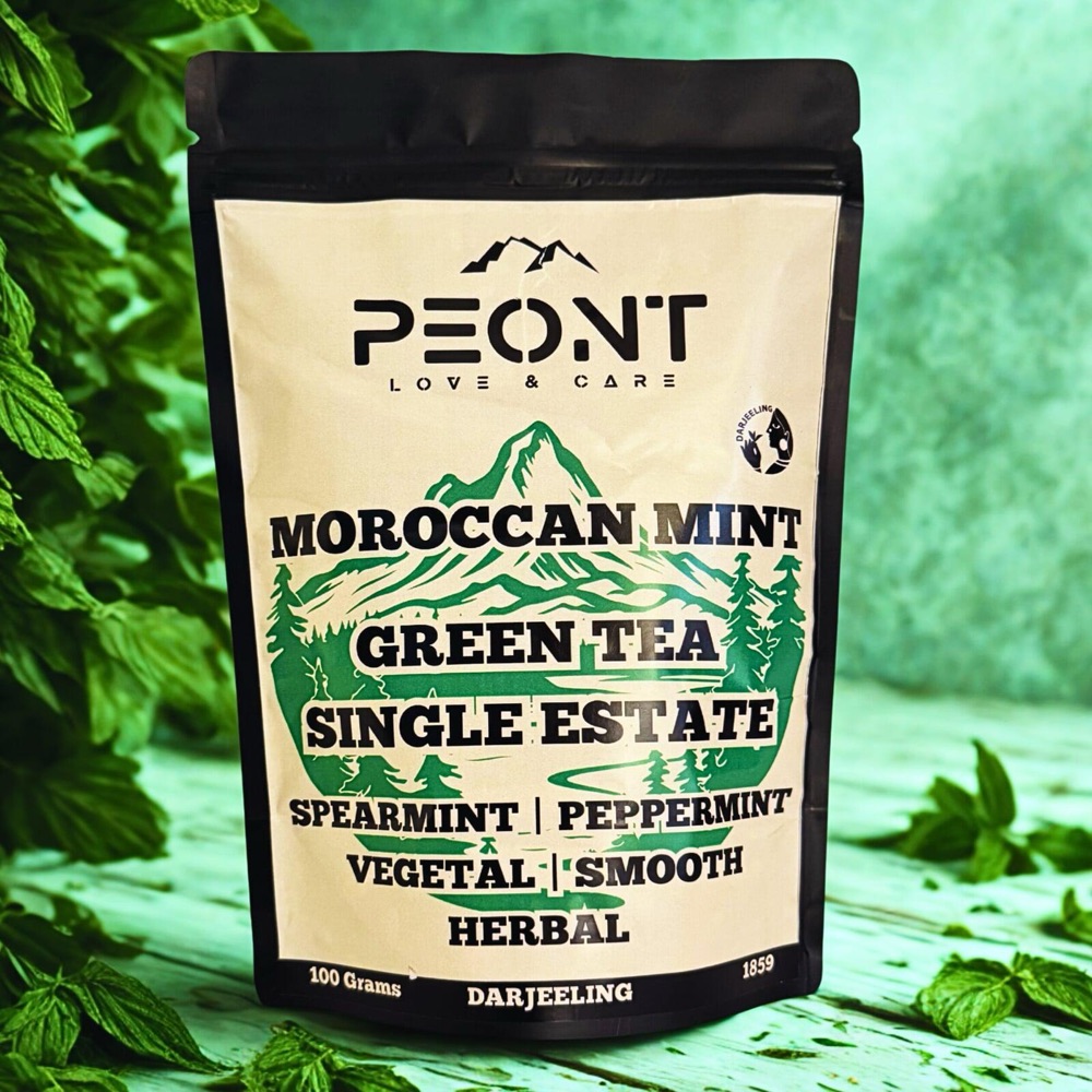 Moroccan Mint Green pouch